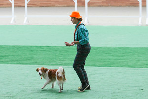 Открытые и квалификационные соревнования по танцам с собаками фото - 8